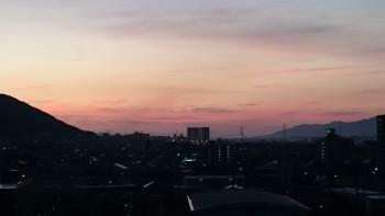 DSC_0256