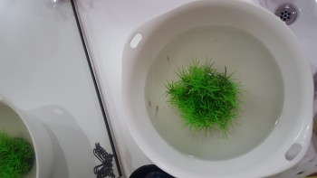 20160407_171538