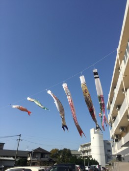 IMG_2019